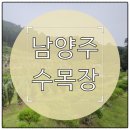 선산IC입구 | 남양주 수목장 현장 방문해보니 생각보다 괜찮았던 이유
