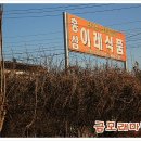 이레홍삼