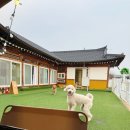 화성포레스트벨리