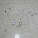 그린아파트B동 이미지