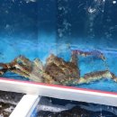 신서귀로76번길 이미지