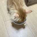 모이플랜