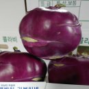 기봉이 농장 이미지