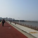 호수공원소나무숲길 이미지