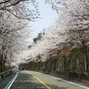 곡선재 이미지