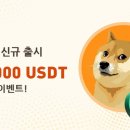비트빗