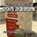 인메디칼 | 강아지관절영양제 페노비스 인캡슐 글루코사민 간식처럼 급여한 후기