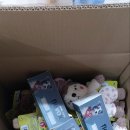 개와냥이동물병원 이미지