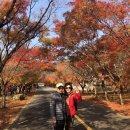 가을여행 이미지