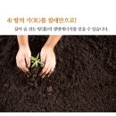 보습흙침대숨