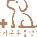 한우동물병원 이미지