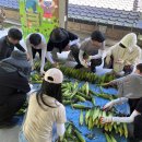 밤두둑마을 이미지