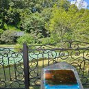 경상북도문화재연구원 역사박물관 | [대한민국] - 안동 : 棣華亭(체화정)