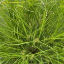 서울파피루스 이미지