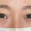 뮬라인 이미지