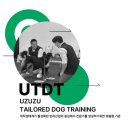 마스터독 MASTER DOG | 독피트니스 반려견 교육 운동 UTDT AKC FIT DOG 핸들러 자격증 수업 1회차 후기