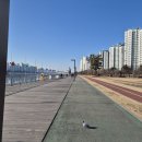 크로스핏 졸리 인천논현점 이미지