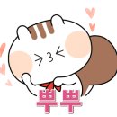 시나움 이미지