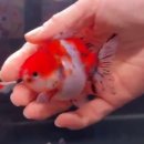 웨이블루 이미지