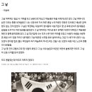AI 시대의 글쓰기 이미지