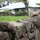 신풍리-1 이미지