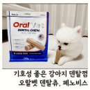덴탈 케어 시스템 | 강아지덴탈껌 소프트 페노비스 오랄벳 덴탈츄