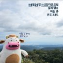 대안목장 | W#21. 강원도 웨딩스냅 꿀팁 - 대관령 하늘목장, 주문진 BTS 바다