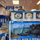 야무지개횟집 | 노량진수산시장 내돈내산 전어회 전어시세 가격 전어구이 전어회무침 맛집 풀세트로 즐겨보자!
