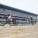 그랑프리 이미지