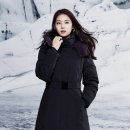 폴엔 이미지