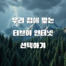 티브 인터넷 이용 성공적인 전략