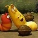 스마트라바
