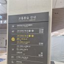 오호호텔 | [직장인 일상일기] 호치민 발리 신혼여행 / 돌아오자마자 정밀초음파 / 누워만 있기