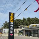 여긴어디강릉사기막 | 강릉 아르떼뮤지엄 카페 허니홈비 강릉본점 후기