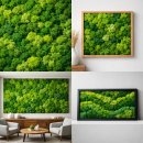 가경지역아동센터 | 호기심을 자극하는 알록달록 초록 이끼 가경지역아동센터 스칸디아모스 시공 | 플랜트솔루션 전문...