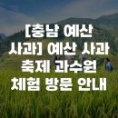 부흥농장 | [충남 예산 사과] 예산 사과 축제 과수원 체험 방문 안내