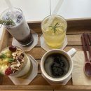 [제주여행] 제주 분위기좋은카페 원앤온리 내돈내산 후기