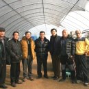 박상구 농장 Daum카페