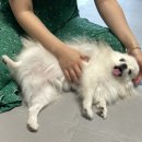 (주)미강 이미지