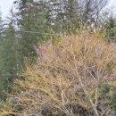 소소한 행복 초록일기 이미지