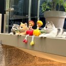 커피베이 홍성의료원점 이미지