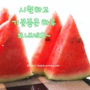 (유)금강자동차 이미지