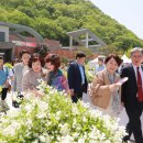 전국야생화전시회 이미지