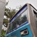 F9981 네이버블로그