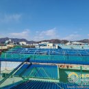 녹산 태양광발전소 이미지