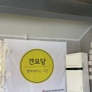 견묘당 | [원주 카페] 냥이들과 함께한 여유로운 시간, 세 번째 방문인 ‘견묘당’ 후기🐾