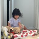 매일선물 | 말놀이 베베핀펜 내돈내산 후기｜두 돌 선물로 사줬더니 매일 가지고 놀아요