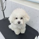 올치유치원 이미지