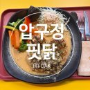혼밥하기 좋은 압구정역 신사동 다이어트 식단 압구정 핏닭 솔직후기