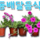 원조 등뼈구이 감자탕 이미지